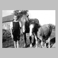 116-0023 Franz Bessel mit der Mutterstute und dem Fohlen.jpg